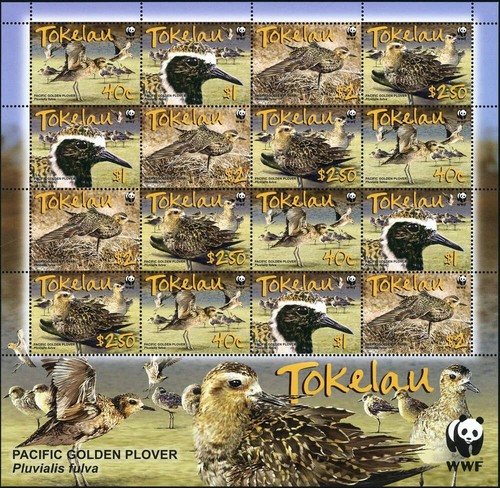 2007 tokelau inseln 368 71 - tokelau, inseln,
