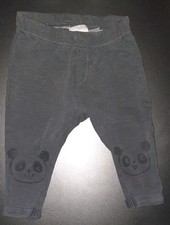 Hose In Größe 80 Von Zara Baby