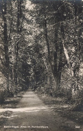 391204 allee im - ak,