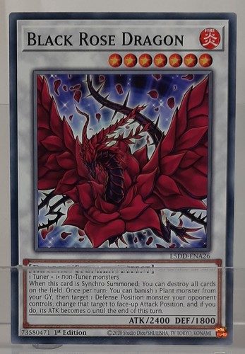 Black rose dragon - black,