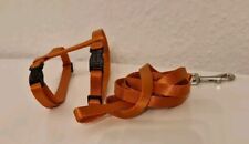 Trixie Katzengeschirr mit Leine in orange für kleine Katzen