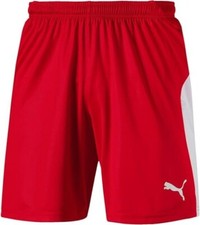 Puma Herren Liga Shorts