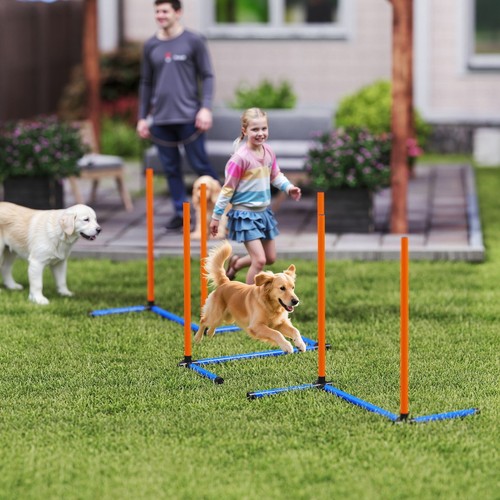 Agility set hunde teiliges - agility, 3-teiliges