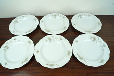 6er Set Rosenthal Monbijou Porzellan Suppenteller Classic Rose Grüne Ranke