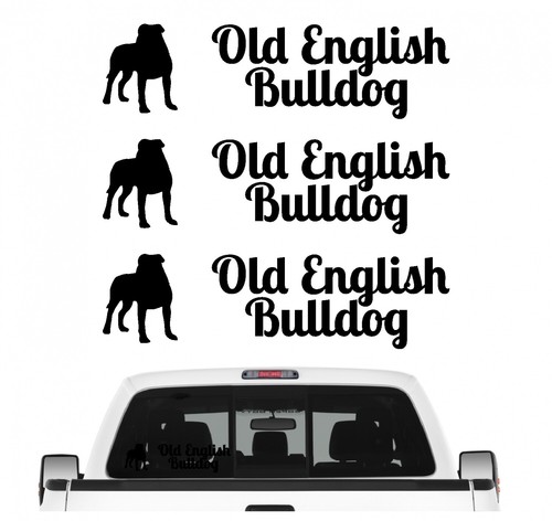 Old english bulldog oeb - english,