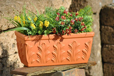 Pflanzkasten,Blumenkasten,Terr