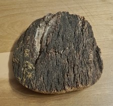 Kork Rinde ca. 20cm Durchmesser