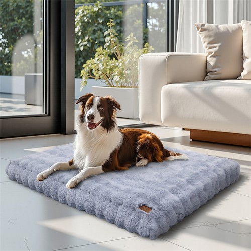 Orthopädisches hundebett - orthopädisches,