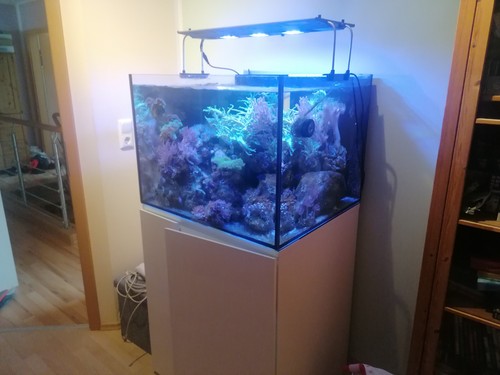 Aqua medic armatus 300 - aqua,