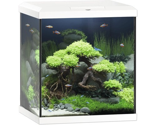 Aquarium juwel vio - cube, l