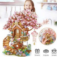 Kirschblüte Baum Haus