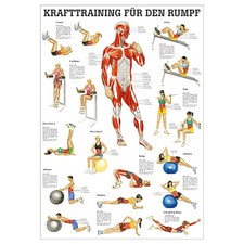 Mini poster krafttraining - mini-poster, "krafttraining