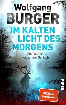 Kalten licht des morgens - im,