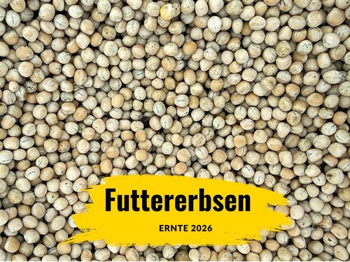 Gelbe futtererbsen 25kg - futtererbsen,