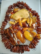 Bernstein Konvolut Baltikum