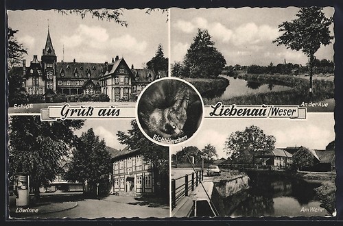 Liebenau weser löwinne - liebenau, an