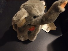 Steiff 083204 Elefant Pummy 18