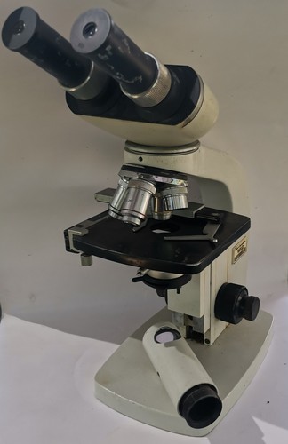 Binokulares biologisches