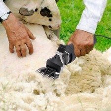 Schafschere Schermaschine