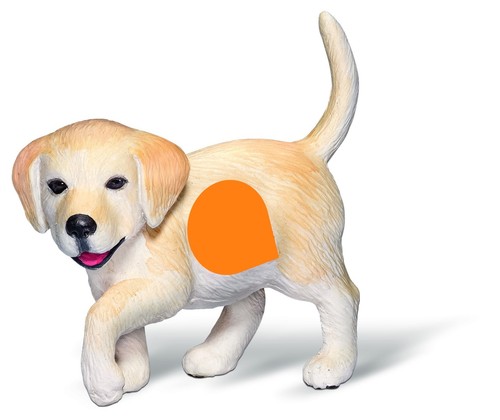 Tiptoi tiere golden retriever - golden,