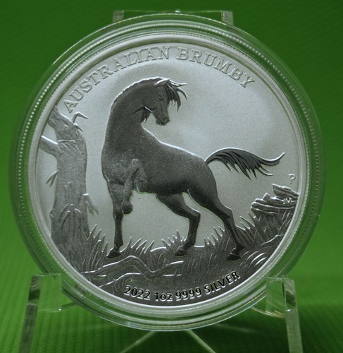 2022 australien brumby - 2022, 1