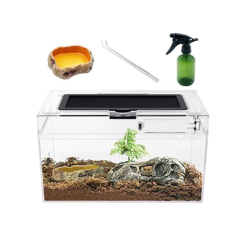 Mini reptile terrarium set - mini,