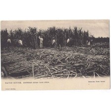 BATON ROUGE Arbeiter in einem