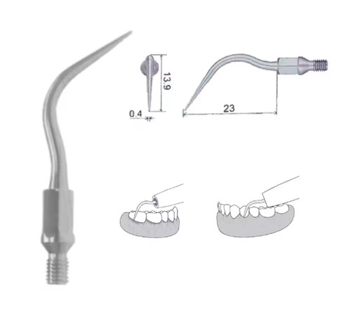 Zeg spitze scaler - 5x, 60