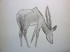 Stell-Es-Auf! RENÉE SINTENIS