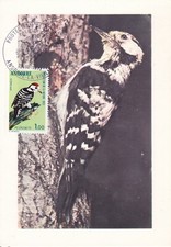 MAXIMUMKARTE - ANDORRA - NATURSCHUTZ - 1973.