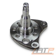ACHSZAPFEN ACHSSCHENKEL RADNABE HINTEN RECHTS FÜR VW POLO 6N 6N1 6N2 6K