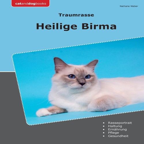 Traumrasse heilige birma - traumrasse,