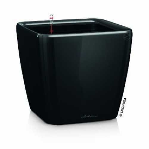 Lechuza quadro premium - lechuza, 28