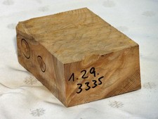 Rüster Ulme Holz Klotz