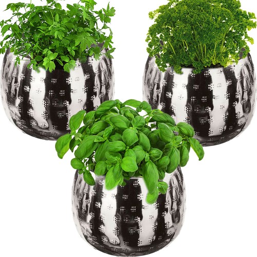 Kräutertopf - krÄutertopf, 🌿