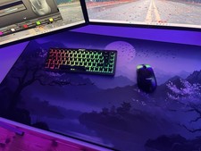 Gaming Setup mit Roccat Kone
