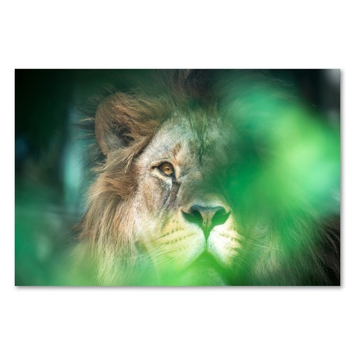 Postereck 3922 poster - 3922,