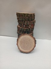 12 Stück ca 20cm Baumscheiben