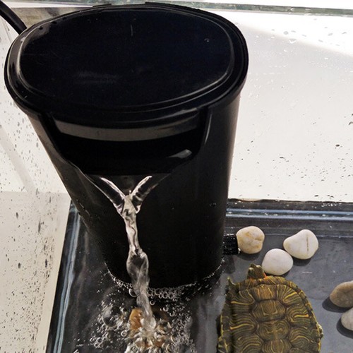 Schildkrötenbecken filter - schildkrötenbecken,