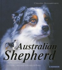 Australian shepherd - shepherd,