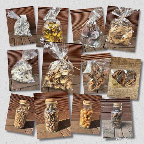 Herbstdeko naturmaterialen - /,