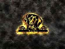 Labrador Golden Retriever Wandbild Holz Welpen Welpe no Aufkleber Buch Zucht