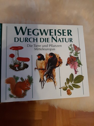 Wegweiser durch die natur - wegweiser,