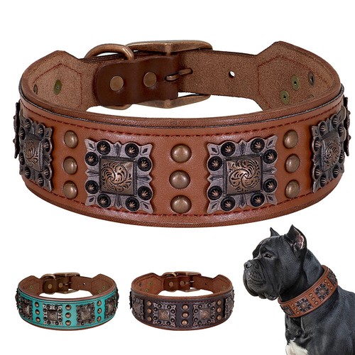 Hundehalsband echtleder mit - hundehalsband,