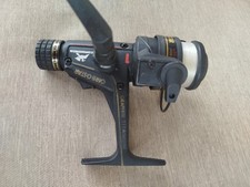 Comoran Carpostar,  Kleine