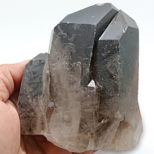 Rauchquarz kristall stufe - stufe, 566