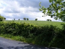 Foto 6x4 Silage oder Heufeld -