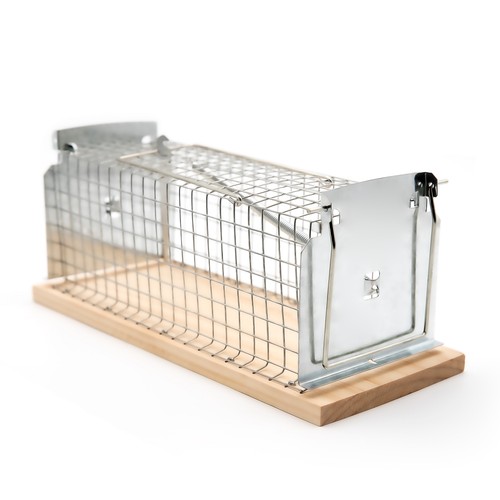 Lebendfalle maus auch - maus, als