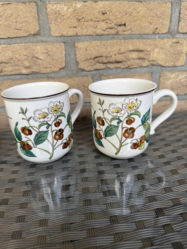 Villeroy boch botanica 2 x - ,