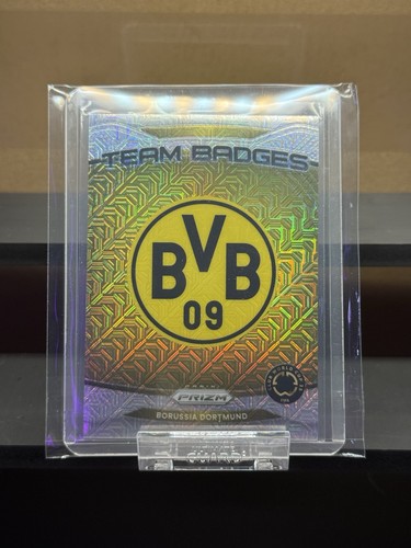 Bvb borussia dortmund 2025 - borussia,